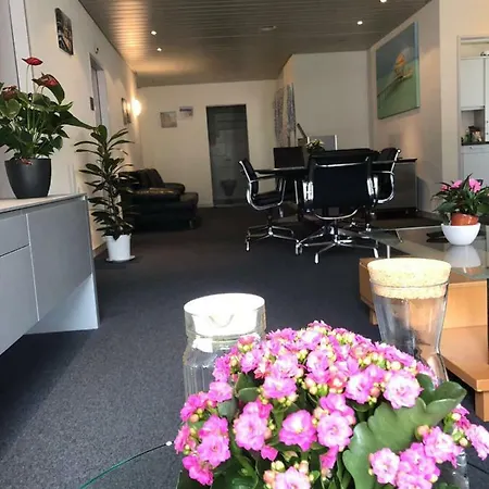 特大号床公寓 因特拉肯