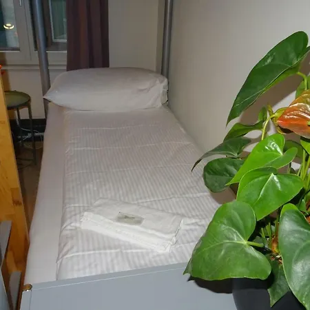 特大号床公寓 旅馆 因特拉肯