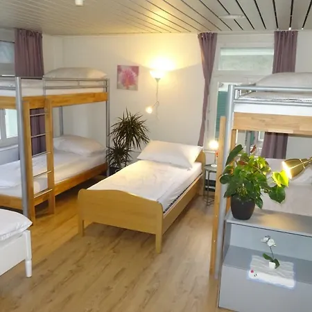 Hostel King *